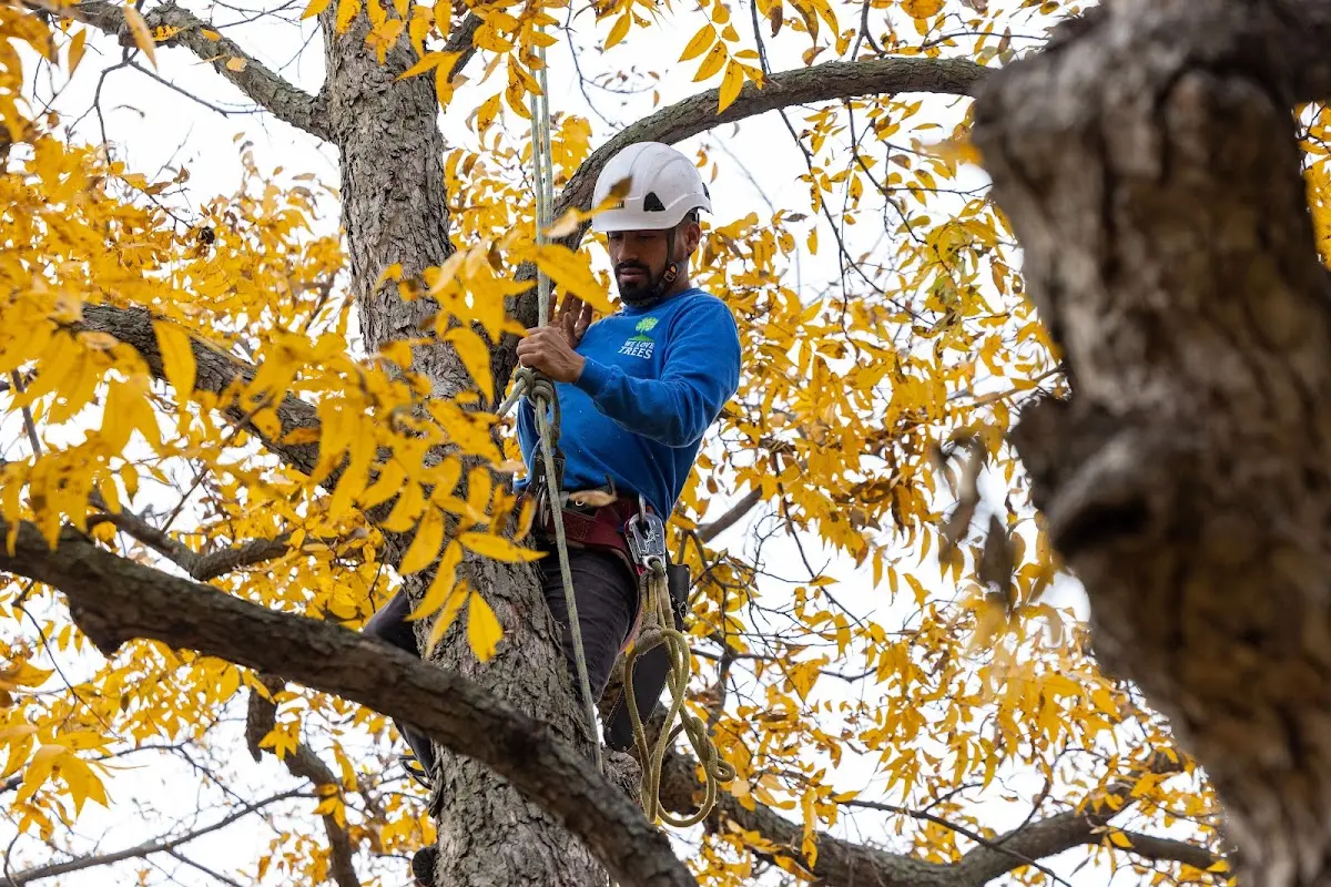 Skilled Storm Damage Cleanup crew working in Saginaw